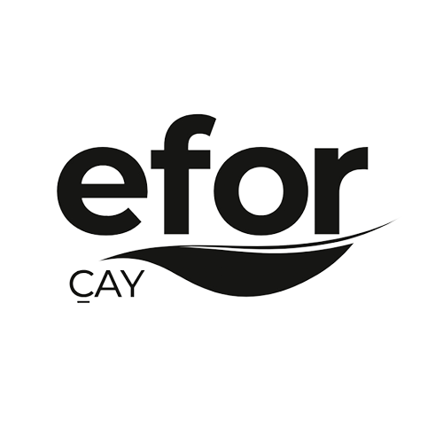 Efor Çay